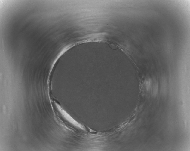 X0000066110100200603171433