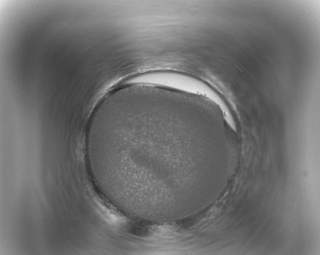 X0000066110107200603171433