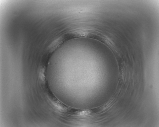 X0000066110122200603171433