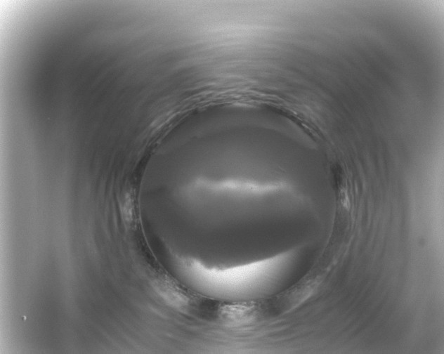 X0000066110139200603171432
