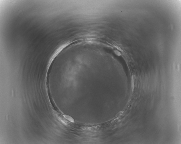 X0000066110147200603171431