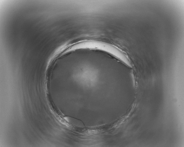 X0000066110149200603171431