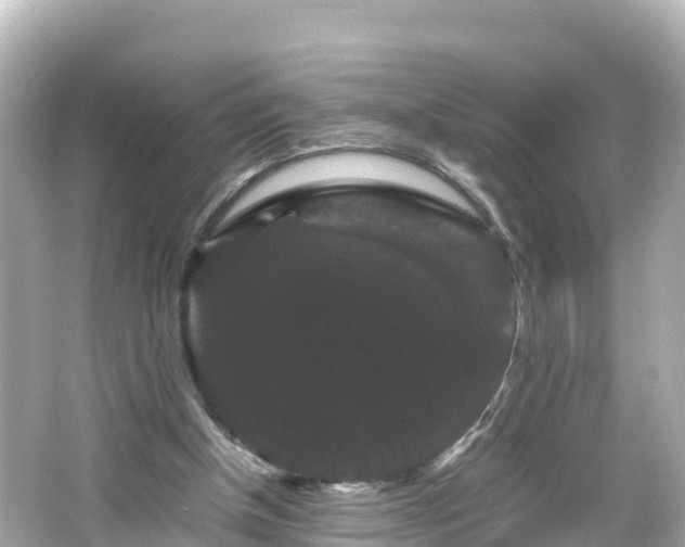 X0000066110154200603171432