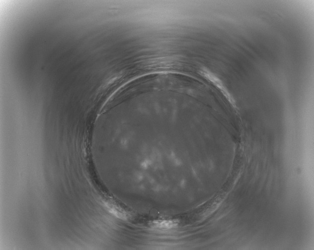X0000066110161200603171432