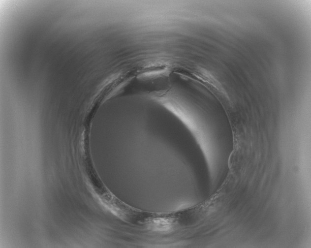 X0000066110163200603171432