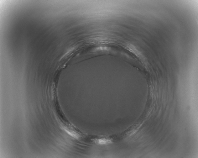 X0000066110165200603171432