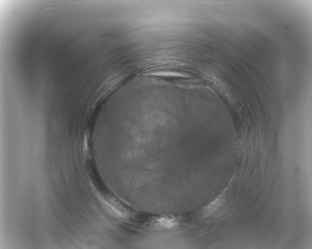 X0000066110166200603171432