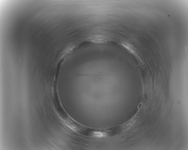X0000066110167200603171432