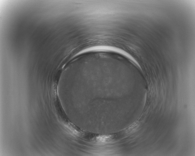 X0000066110172200603171432