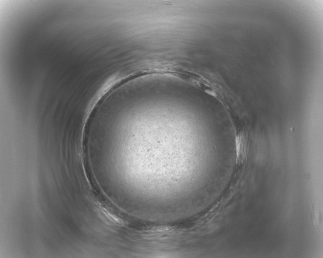 X0000066110195200603171431