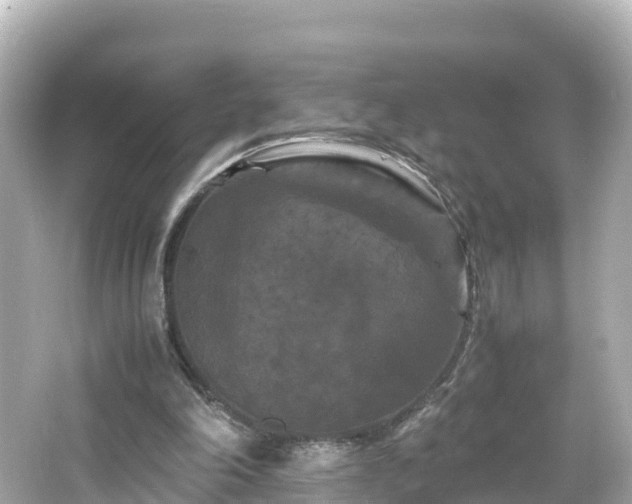 X0000066110198200603171431