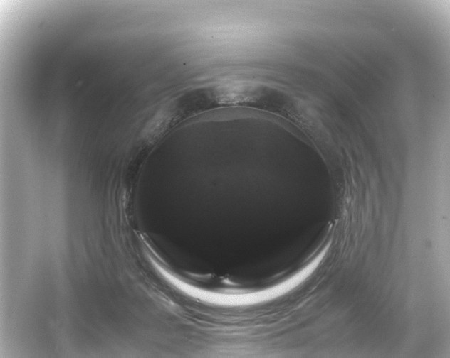 X0000066110219200603171431