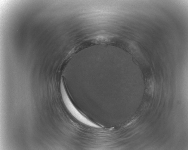 X0000066110232200603171431