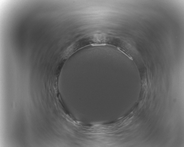 X0000066110233200603171431