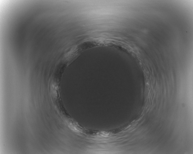 X0000066110235200603171431