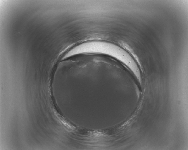 X0000066110249200603171430