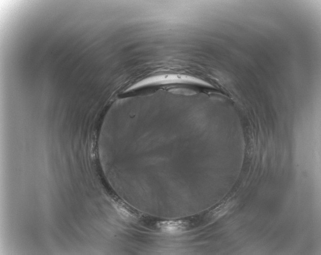 X0000066110273200603171430
