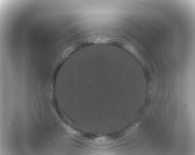 X0000066110309200603171429