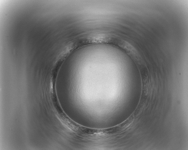 X0000066110310200603171429