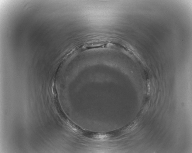 X0000066110313200603171429