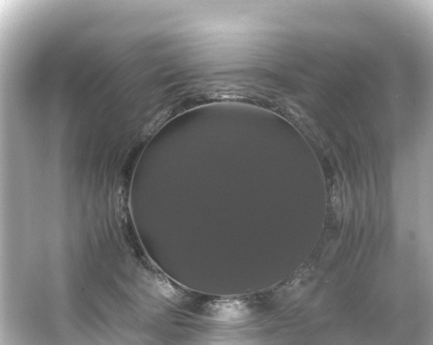 X0000066110322200603171429
