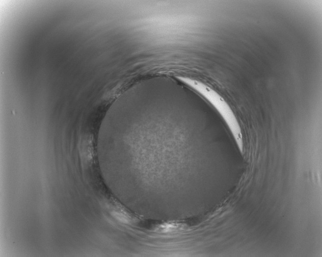 X0000066110323200603171429