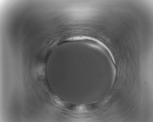 X0000066110325200603171429