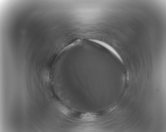 X0000066110331200603171429