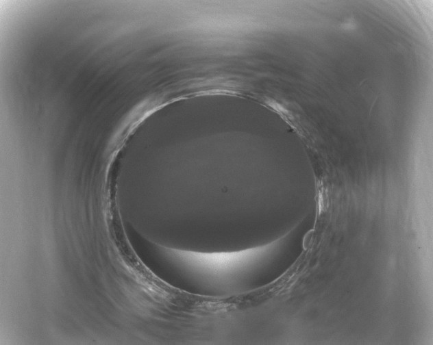 X0000066110339200603171428