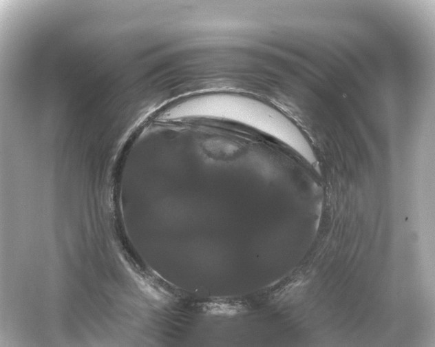 X0000066110347200603171428