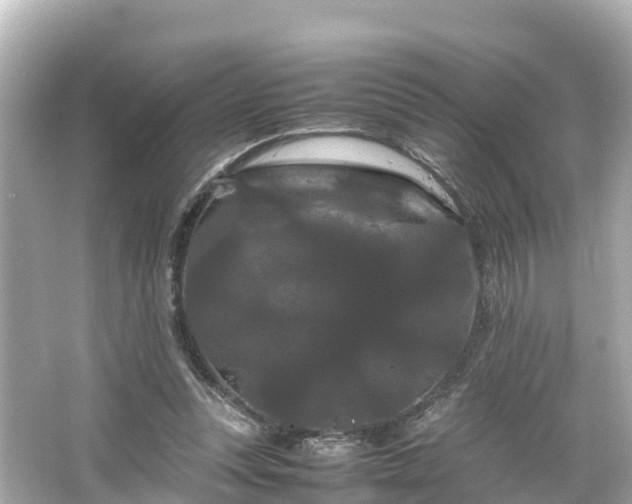 X0000066110351200603171428