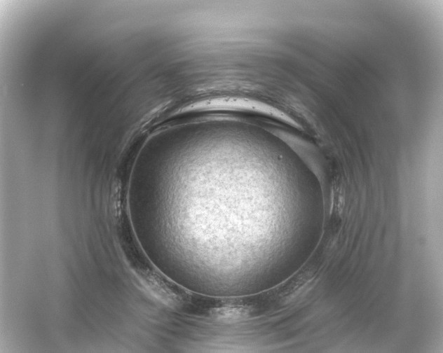 X0000066110356200603171428