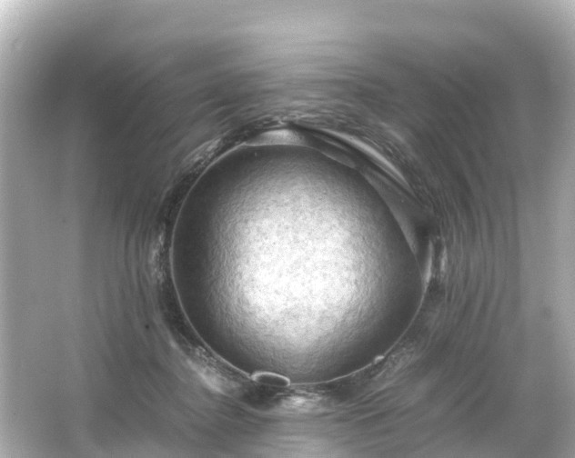 X0000066110364200603171429
