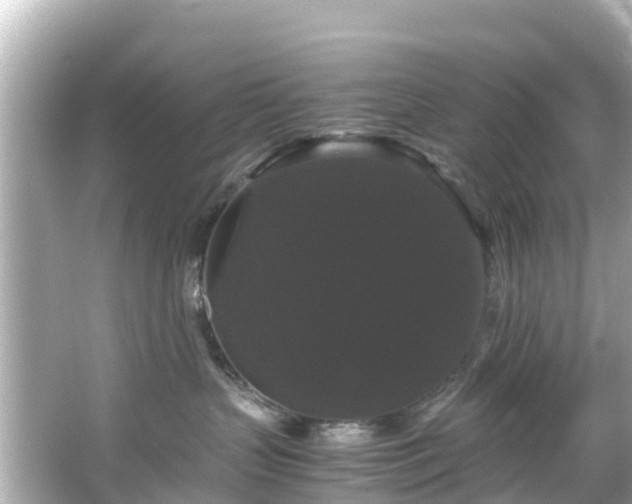 X0000066110383200603171429
