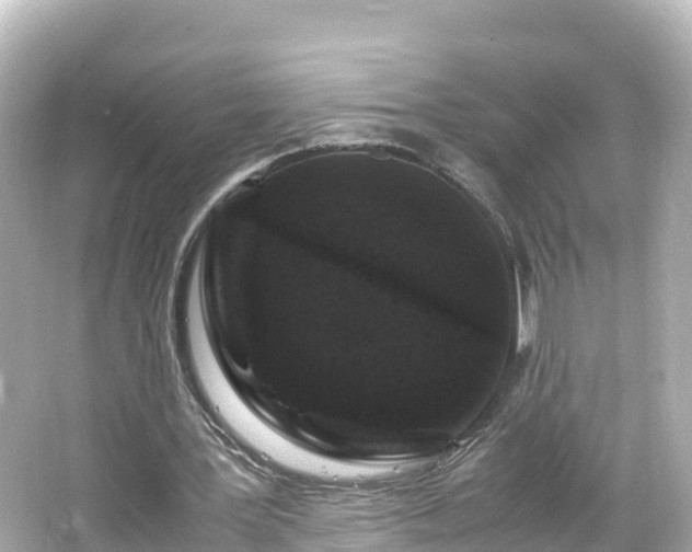 X0000066110387200603171428