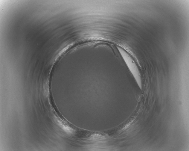 X0000066110390200603171428