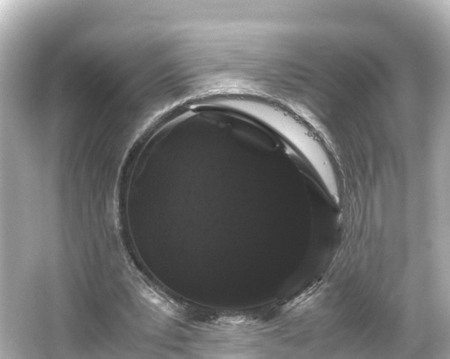X0000066110391200603171428