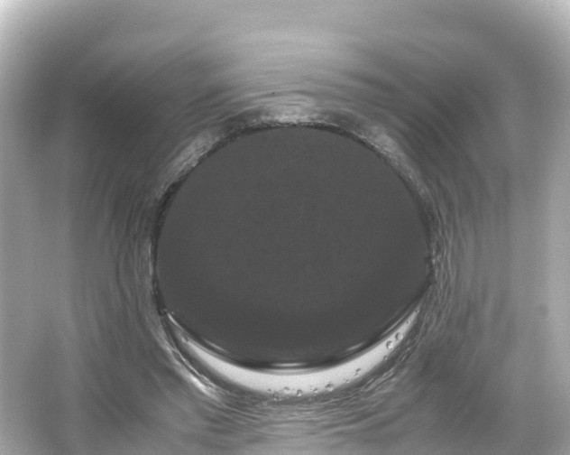 X0000066110397200603171428