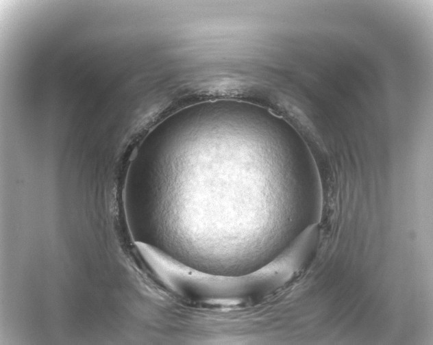 X0000066110403200603171428