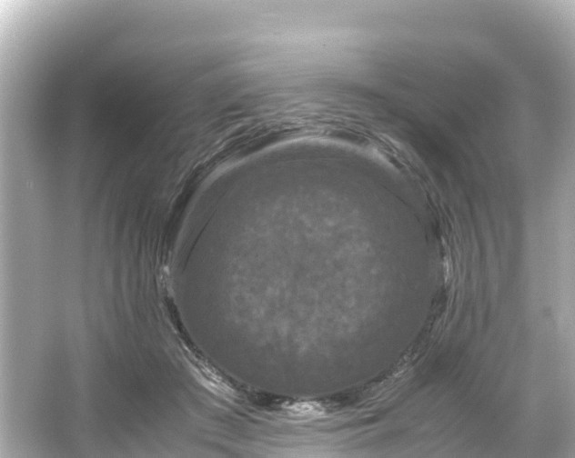 X0000066110409200603171428
