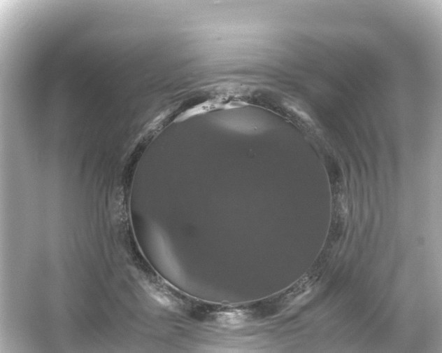 X0000066110411200603171428