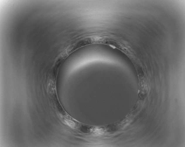 X0000066110419200603171428