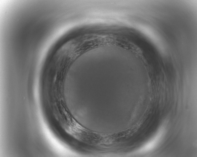 X0000066110431200603171427