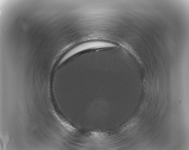X0000066110442200603171427