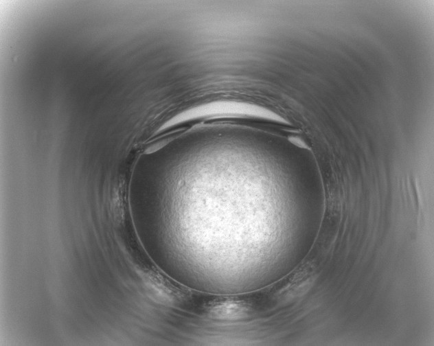X0000066110460200603171427