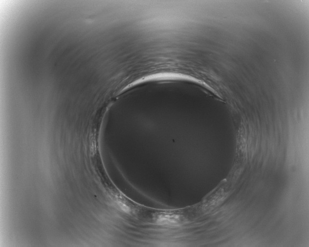 X0000066110471200603171427