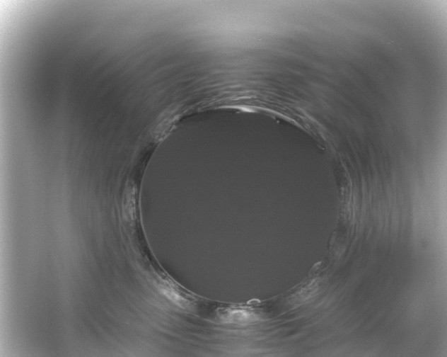 X0000066110475200603171427