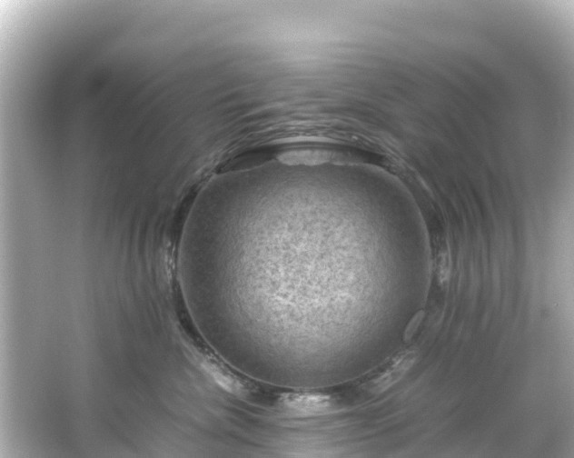 X0000066110476200603171427