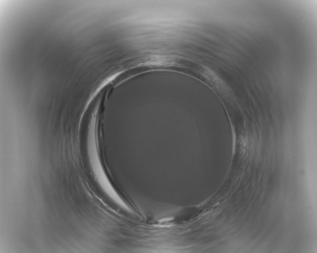 X0000066110484200603171426