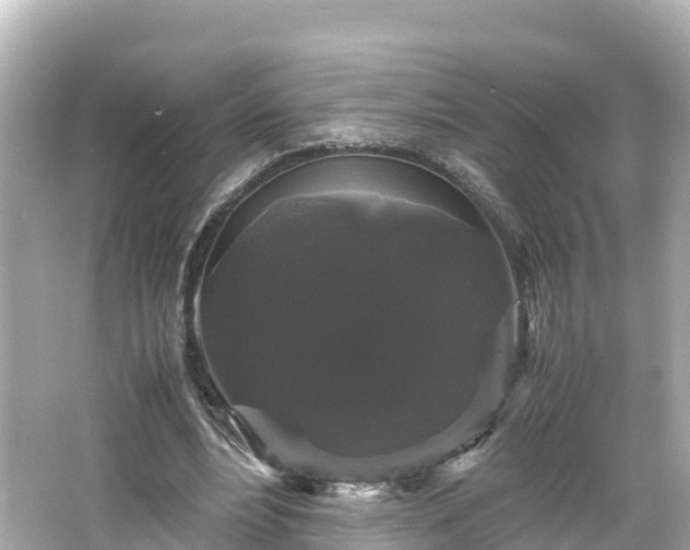X0000066110488200603171426